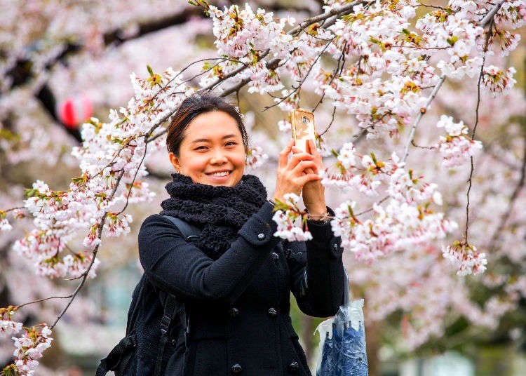 The Memories You Make on Vacation in Japan Will Last a Lifetime.