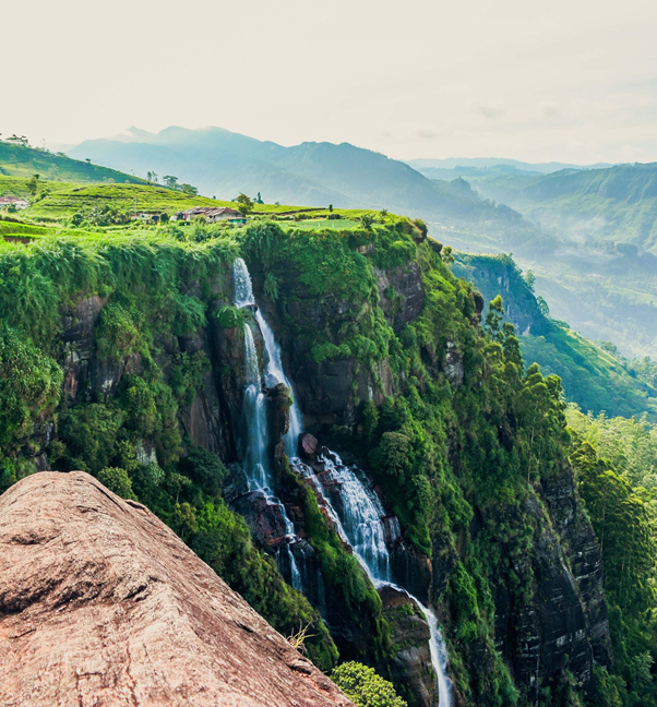 Sri Lanka Travel Tips for Nature Lovers